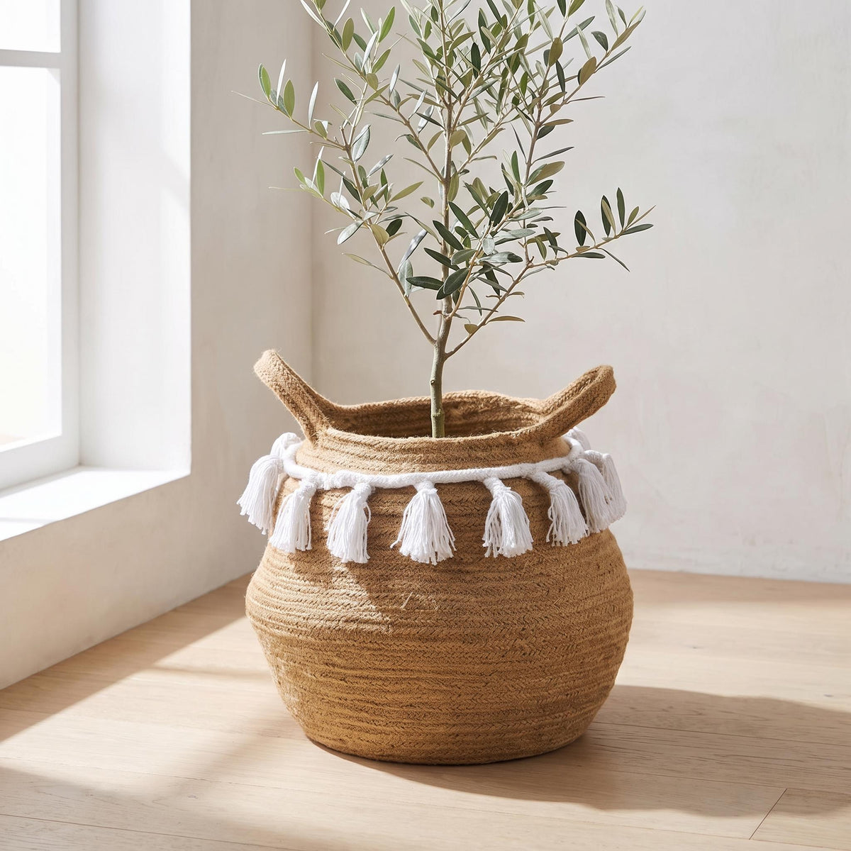 Ombela basket holding a young olive tree in a bright living room