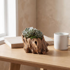Troka planter next to a coffee mug and a book to show its real size