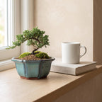 Azura hexagonal pot next to a coffee mug and a book to show its real size