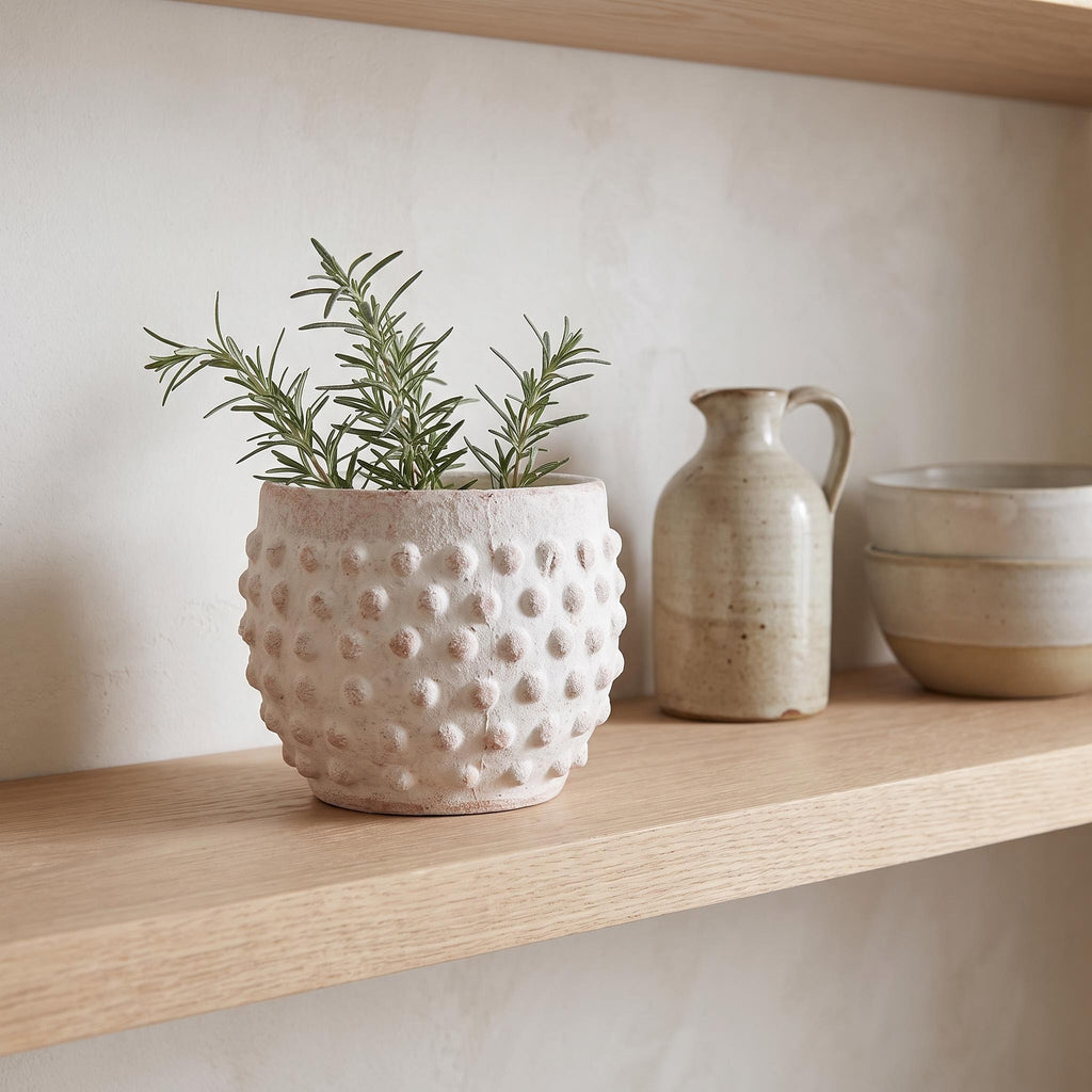 Brumel planter on a kitchen shelf holding a rosemary cutting