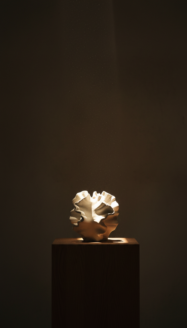 Sorel coral-shaped vase on a dark oak plinth, Mokay Labs on Instagram