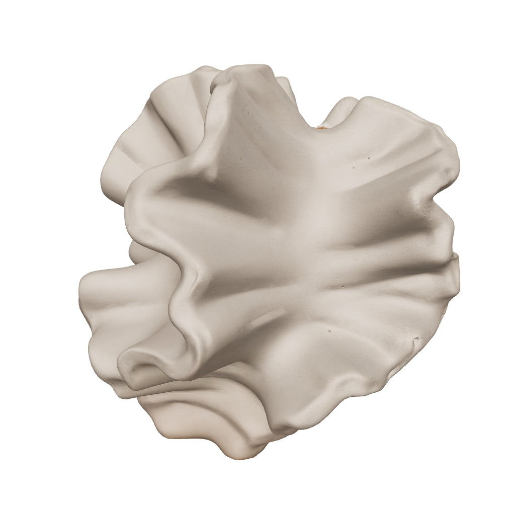 Sorel coral vase in 3D, view it in your space