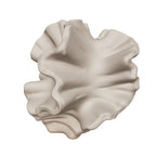 Sorel coral vase in 3D, view it in your space
